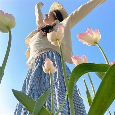 梨花泪